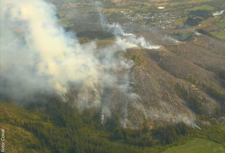 Cinco incendios forestales siguen activos afectando a más de 3.000 hectáreas en tres regiones