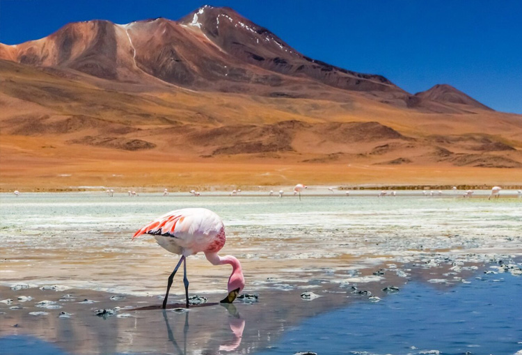 Chile frente al cambio climático: avances, desafíos y el rol clave de la información ambiental