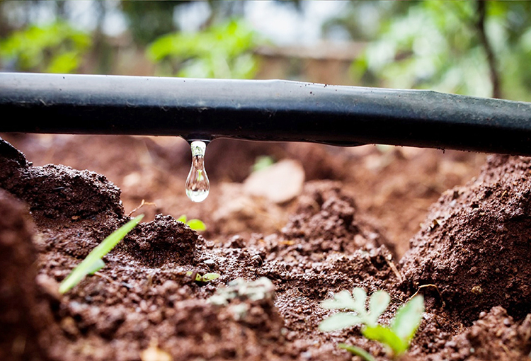 Estudian opciones para la reconversión hídrica del Valle del Huasco usando energías renovables