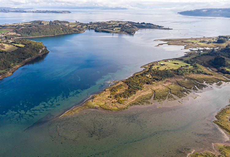 Declaran tres humedales costeros de Chiloé como nuevos Santuarios de la Naturaleza