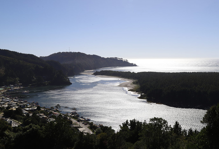 Chile y México contribuirán a la valorización de los ecosistemas estuarinos en La Araucanía