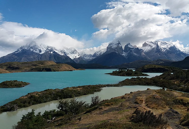 Diputados aprobaron proyecto que crea el Servicio de Biodiversidad y Áreas Protegidas