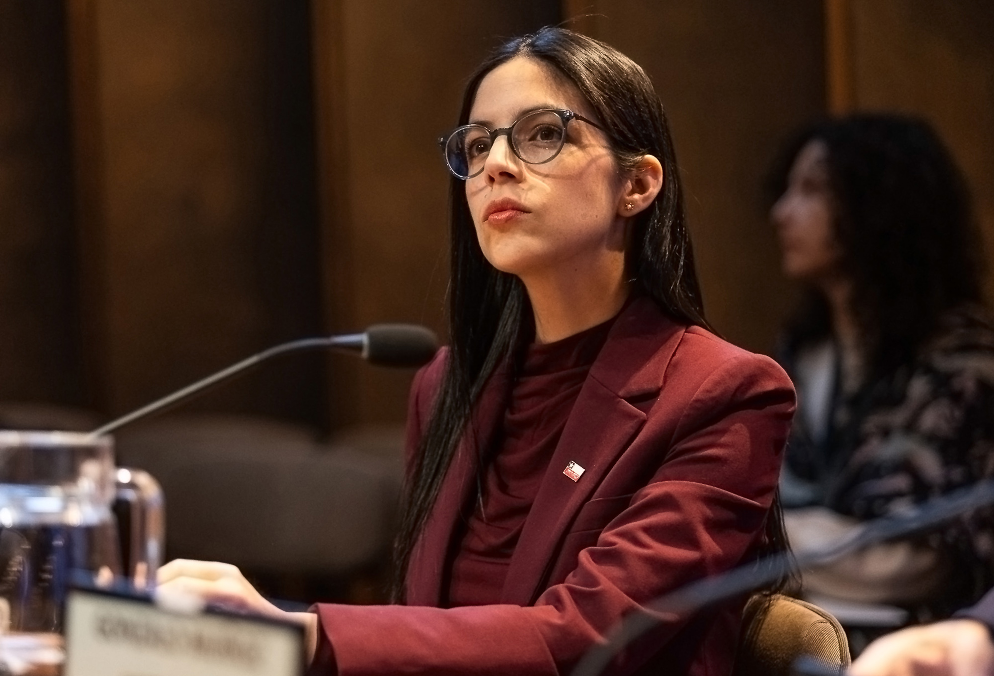 Los Argumentos de la Ministra