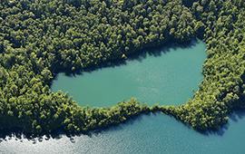 MMA no apurará definición de primer listado de sitios prioritarios para conservar la biodiversidad