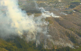 Incendios: Biobío, Ñuble y La Araucanía siguen con alerta roja y llaman a aprobar proyecto de ley