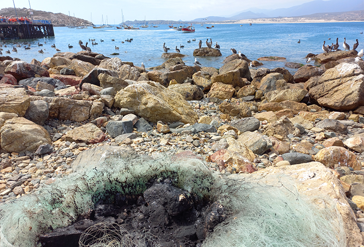 Más de 290 toneladas de residuos plásticos de la pesca artesanal en Chile quedarían en el mar 