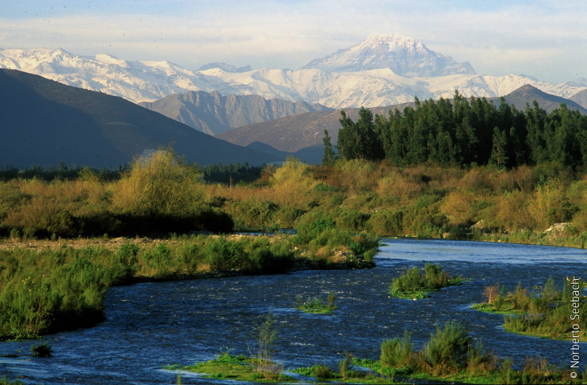 Entra en vigencia norma secundaria de calidad ambiental de la cuenca del río Aconcagua