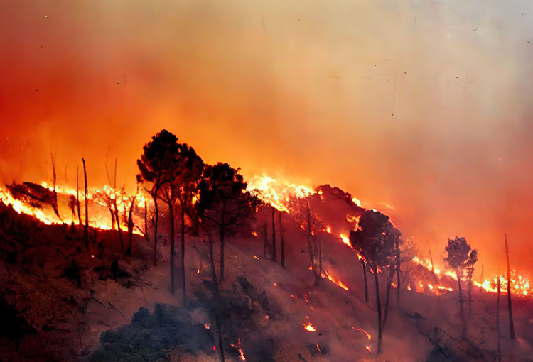 Carbono negro: otra amenaza para la salud y el medio ambiente derivada de los incendios forestales