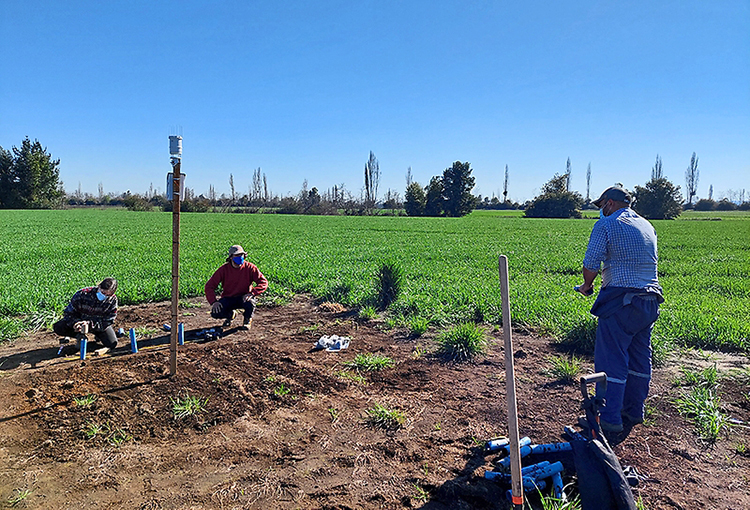 Nueva tecnología ofrece aumentar productividad y reducir huella de carbono de agricultores