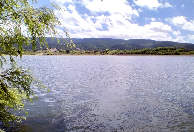 Congreso despachó reforma al Código de Aguas: está lista para convertirse en ley