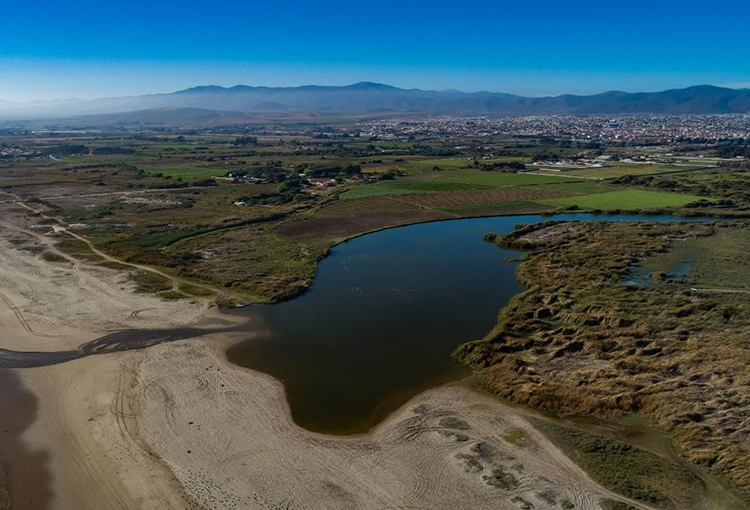 Buscan conciliar protección de humedales con la actividad ganadera trashumante