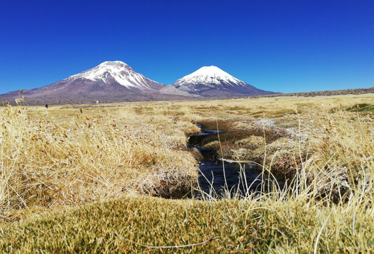 MMA extenderá por todo noviembre consulta pública para definición de sitios prioritarios