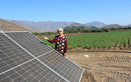 Con riego presurizado y energía solar impulsan cultivos sustentables en Petorca y Cabildo