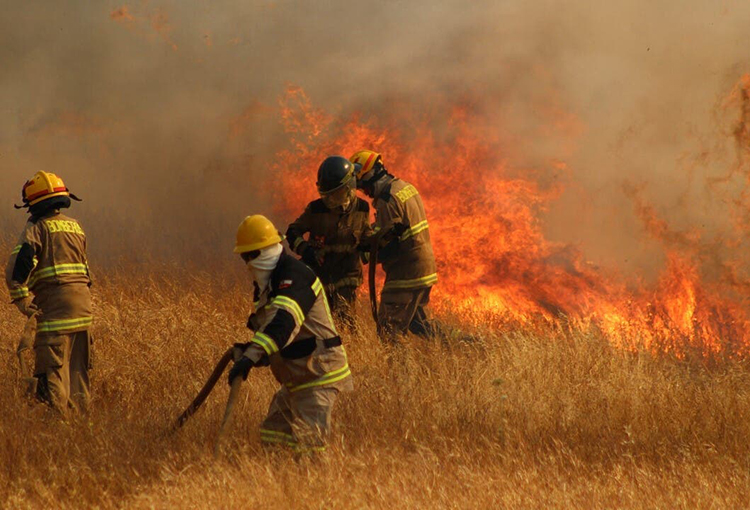 Más de 14 mil hectáreas han sido afectadas en la última temporada de incendios forestales