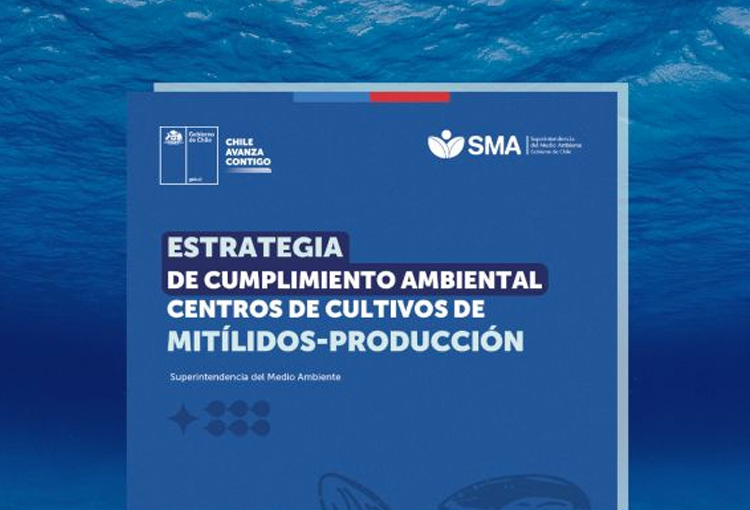 Lanzan primera estrategia de cumplimiento ambiental para la industria de mitílidos