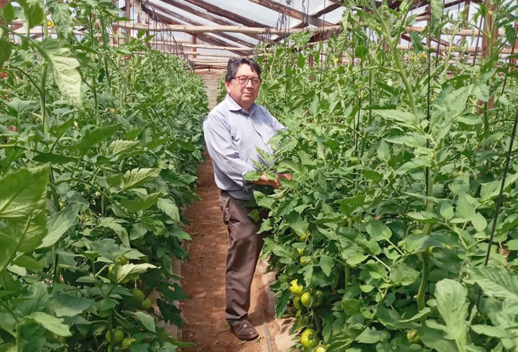 Bioinsumos contribuyen a mitigar los efectos del cambio climático en la agricultura