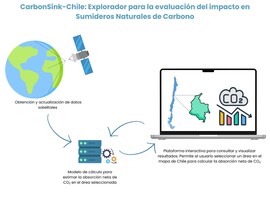 Lanzan plataforma que permitirá estimar carbono almacenado en ecosistemas naturales