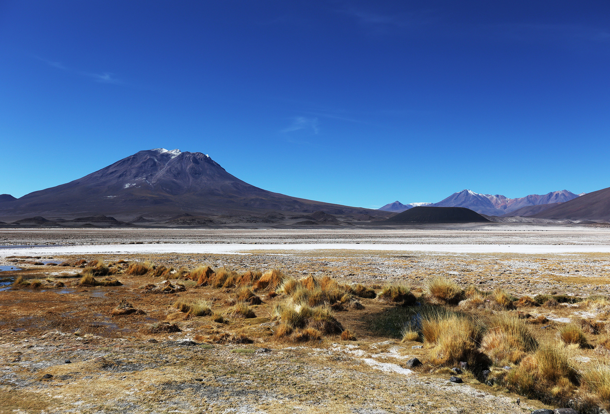 Conservación con Identidad Indígena