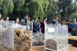 Piloto tecnológico permitirá identificar vertederos y aprovechar los residuos de la construcción