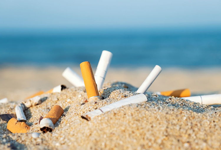 Avanza proyecto de ley que evita contaminación con colillas de cigarro y facilita su reciclaje