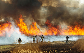 Incendios forestales: calidad del aire ha llegado a niveles de emergencia en zonas afectadas