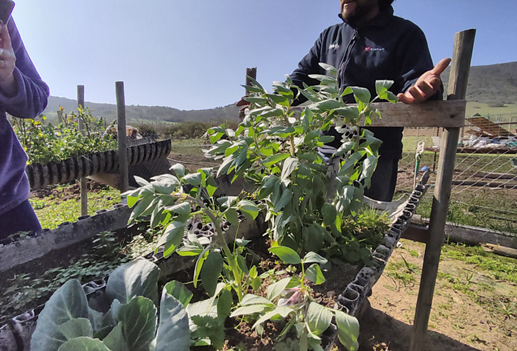 Presentan soluciones para enfrentar la sequía dirigidas a familias y a la pequeña agricultura