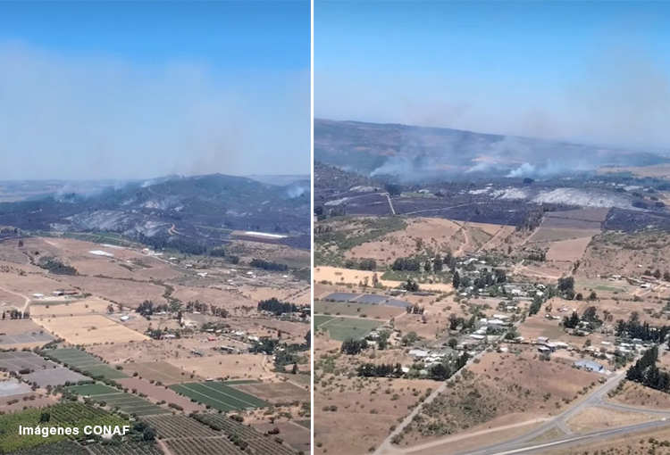 Incendios forestales: cinco comunas están con alerta roja entre Valparaíso y el Biobío