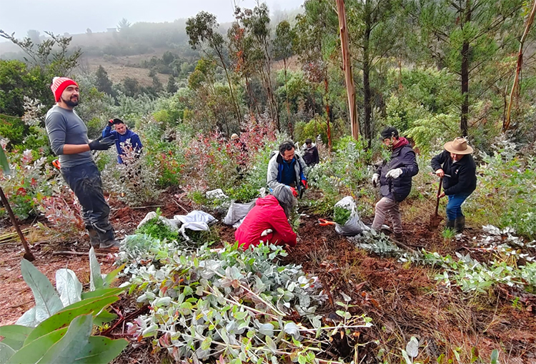 Invitan a sumar iniciativas de restauración ecológica y productiva en nuevo registro nacional
