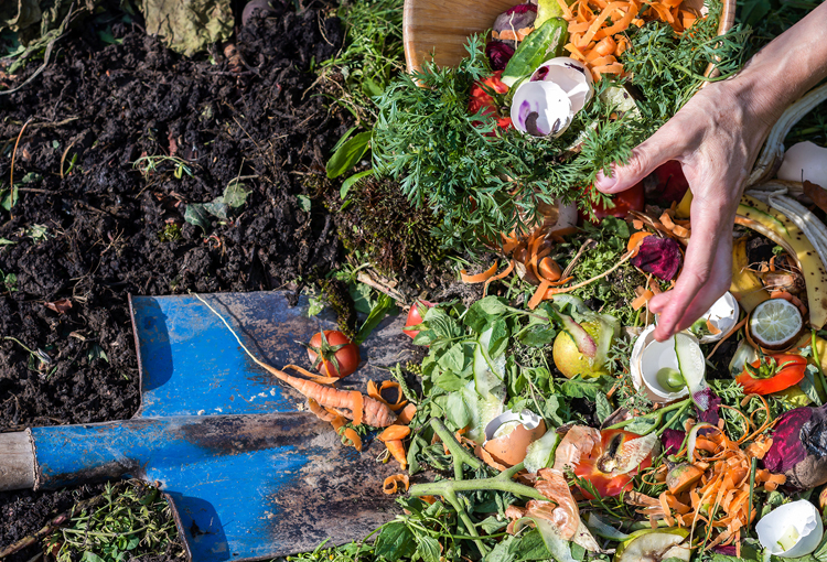 Campaña promueve el reciclaje de residuos orgánicos y educa sobre materiales compostables
