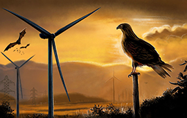 Nuevo estudio entrega criterios para proteger aves y murciélagos en proyectos energéticos