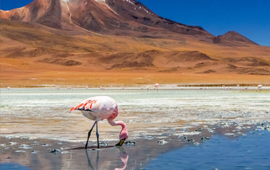 Chile frente al cambio climático: avances, desafíos y el rol clave de la información ambiental