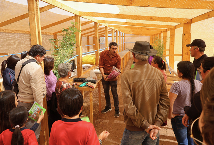 Innovador programa académico combate la desertificación y recupera suelos en la Región de Coquimbo