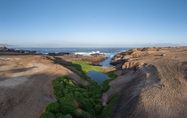 COP15: Humedal Aguada La Chimba de Antofagasta es reconocido como ejemplo de conservación