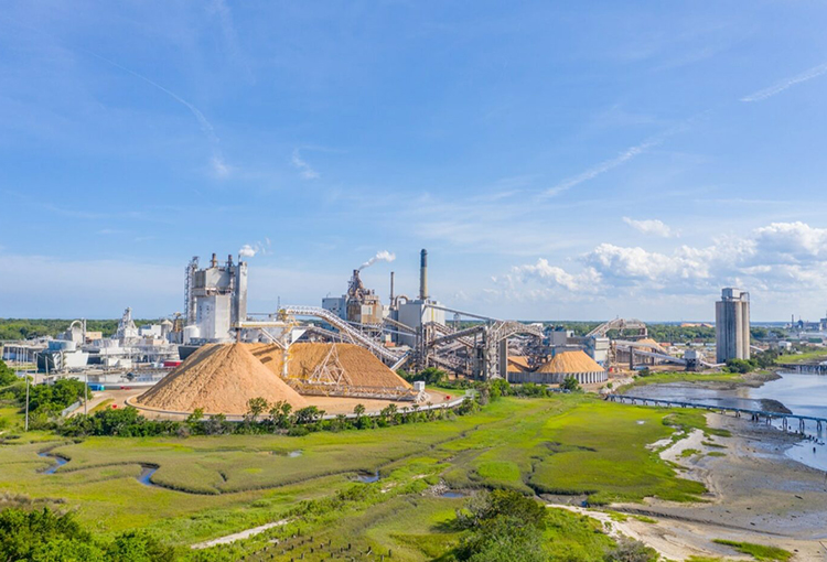 Norma de olores con más exigencias para plantas de celulosa fue publicada en el Diario Oficial