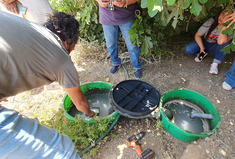 Del desagüe de la lavadora hasta los cultivos: biofiltro permite reutilizar aguas grises