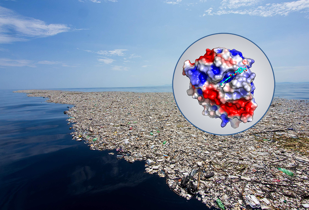 Identifican enzimas que pueden degradar los residuos plásticos en océanos antárticos