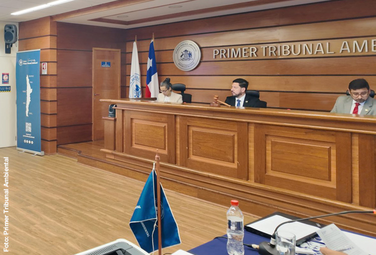 Inédito: ministros del Primer Tribunal Ambiental se inhabilitan tras filtrarse decisión sobre proyecto minero