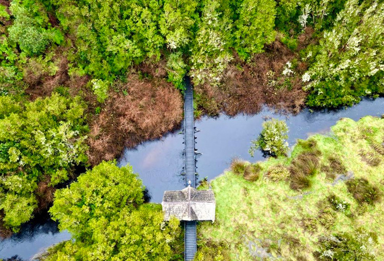 Investigadores advierten riesgo ambiental por proyecto eólico en zona de reserva en Chiloé