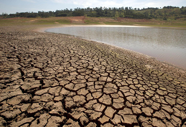 Destacan avance de acciones para frenar la desertificación en Chile