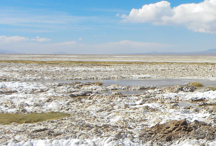 Minera Escondida, CDE y comunidades indígenas llegan a acuerdo por aguas del Salar de Punta Negra