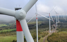 Mesa público-privada logra acuerdo para proteger al cóndor en proyectos eólicos