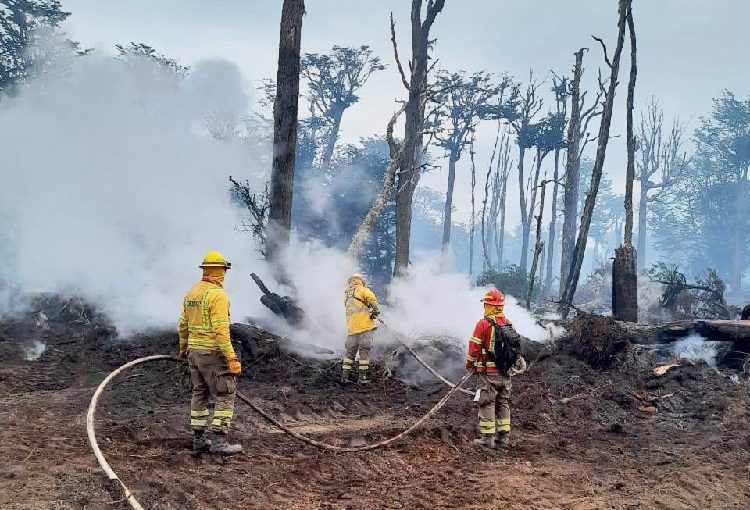 Incendio forestal en Timaukel está parcialmente contenido, pero se mantiene alerta