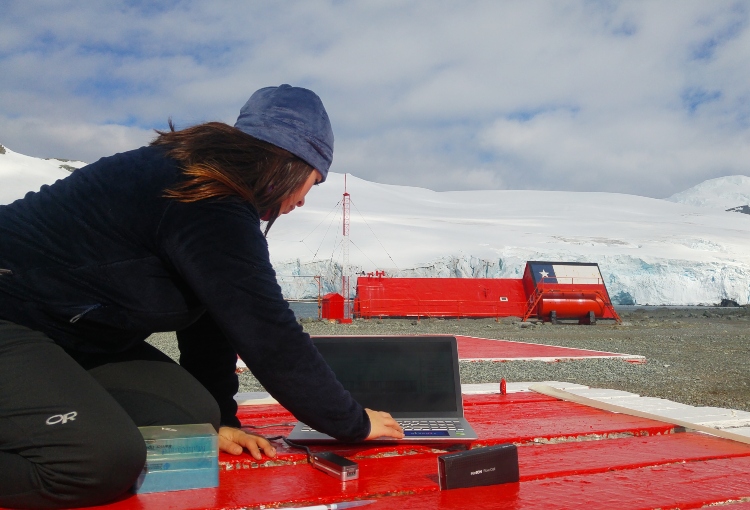 Descubren en la Antártica bacterias hiper resistentes que podrían significar un riesgo sanitario 