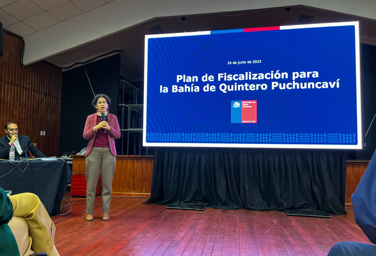 Quintero y Puchuncaví: Gobierno anuncia más fiscalizadores y nuevos equipos de medición 