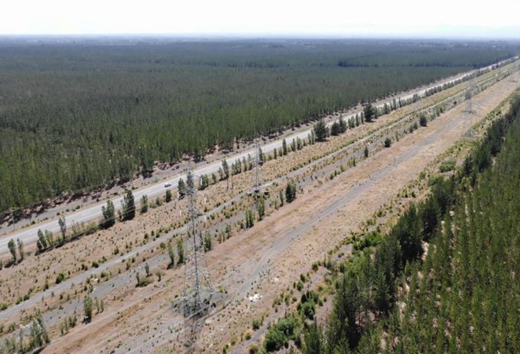 Construyen inédito cordón de protección contra incendios de unos 36 kilómetros