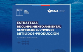 Lanzan primera estrategia de cumplimiento ambiental para la industria de mitílidos
