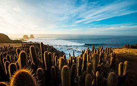 Convertirán a Pichilemu en nuevo punto estratégico de observación climática internacional