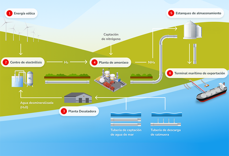 Parte tramitación ambiental de megaproyecto de producción de amoníaco verde a partir de H2V