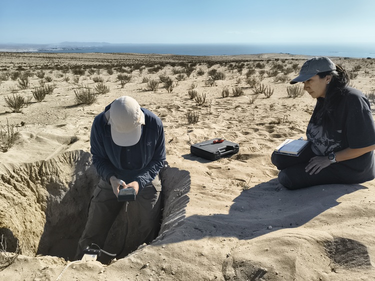 Crean colecciones de microorganismos para abordar desafíos de contaminación y minería verde