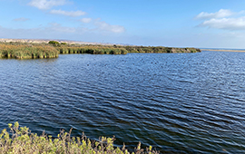 Desembocadura del Río Huasco es declarado humedal urbano: ya son 140 a nivel nacional